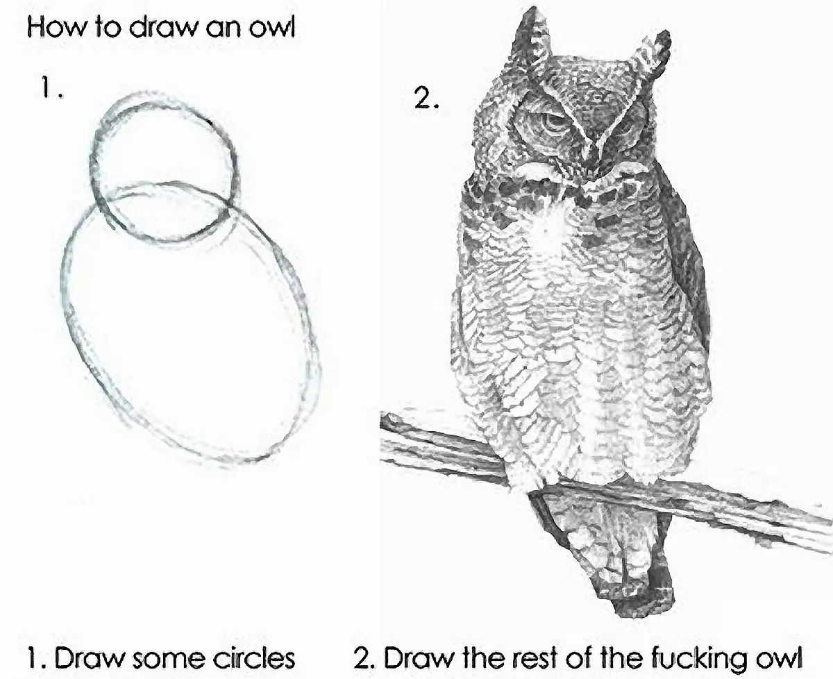How to draw an owl: 1. Draw some circles. 2. Draw the rest of the fucking owl